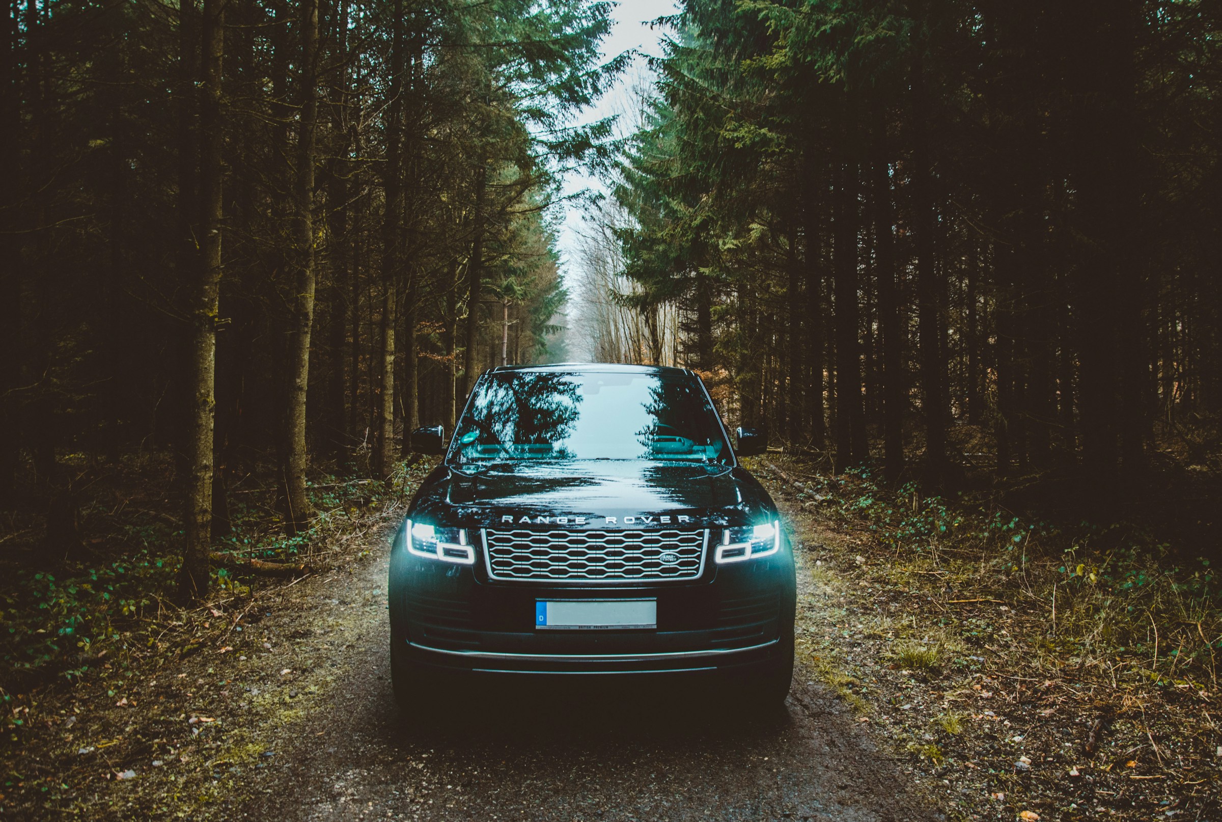 Black Range Rover on forest dirt road